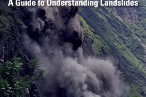 handbook handbook