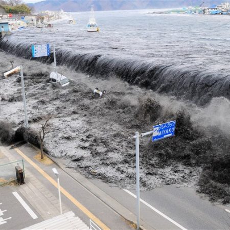 Risk Management for Tsunami-Related Disasters